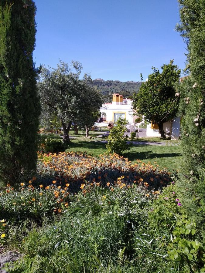 Casa Da Paleta Guest House Castelo de Vide Exterior photo